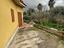 Immagine 21