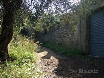 Rustici con Terreno Località S.Barbara Capoterra