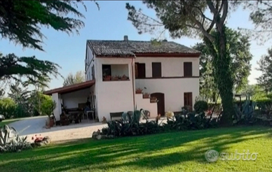 Last minute special price Marche