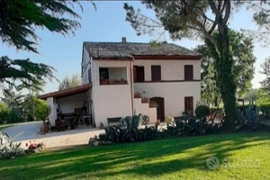 Last minute special price Marche