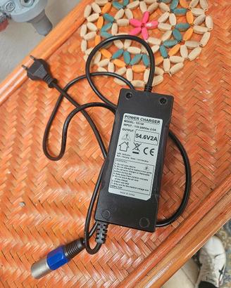 caricatore bici elettriche 