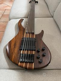Basso Elettrico 5 corde