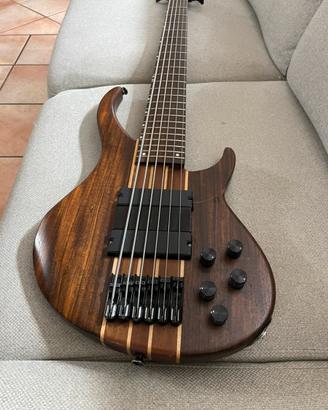 Basso Elettrico 5 corde