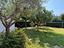 Immagine 27