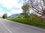 Immagine 12