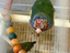Immagine 2