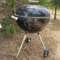 Barbecue a carbone weber