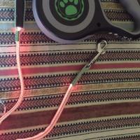 guinzaglio 5mt con luce