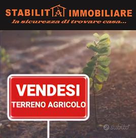 S.m.la stella:terreno agricolo 1000 mq in centro