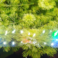 Limnophila sessiliflora