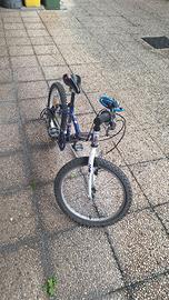 MTB 20 pollici