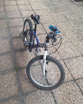 MTB 20 pollici