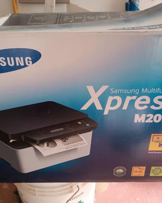 Stampante Samsung Xpress M2070