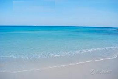 2^ e 3^ settimana luglio