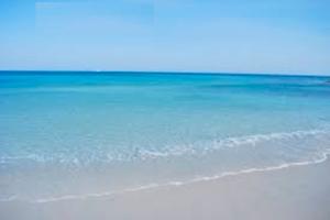 2^ e 3^ settimana luglio