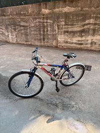 Bici bottecchia mountain bike
