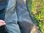 Immagine 2