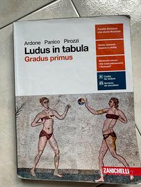 ludus in tabula