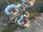 Immagine 2
