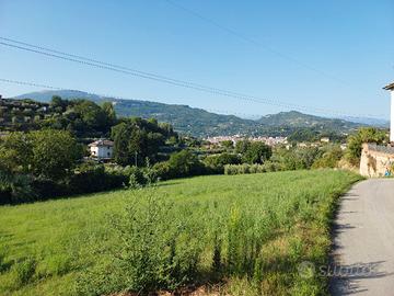 terreno agricolo
