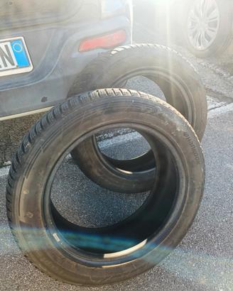 coppia pneumatici invernali