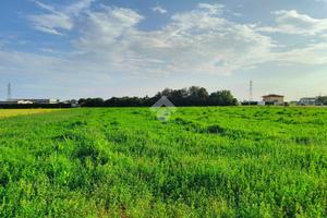 TERRENO A VILLAFRANCA DI VERONA