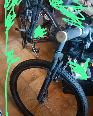 bicicletta 