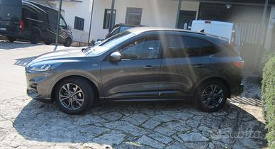 Autocarro 5 posti - Ford Kuga