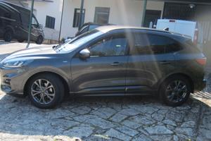 Autocarro 5 posti - Ford Kuga