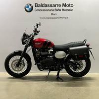 TRIUMPH Scrambler 900 Abs