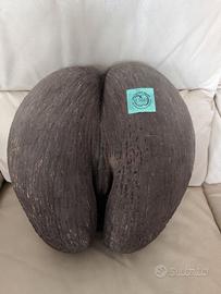 Coco de mer