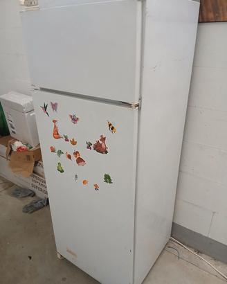 Frigo Ariston