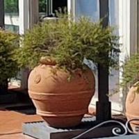 Vasi - Orci in terracotta