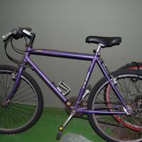 biciclette usate