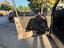 Immagine 28