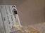 Immagine 5