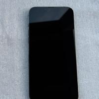 iPhone 13 PRO MAX 256 GB