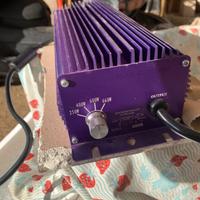 Bundle Lumatek 600W + Riflettore