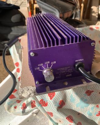 Bundle Lumatek 600W + Riflettore