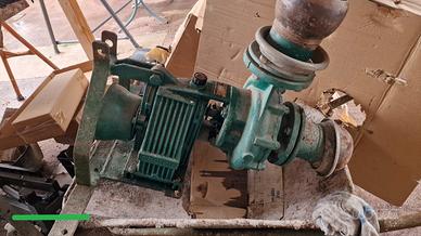 Pompa per irrigazione caprari