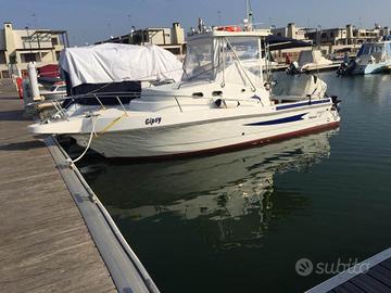 Concord Gipsi con Mercury Optimax 225 hp