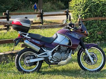 Kawasaki KLE 500 - 2002