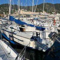 Natante a vela 6.5m