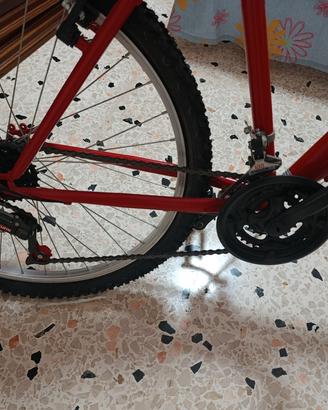 bicicletta 
