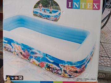 piscina + aspiratore 