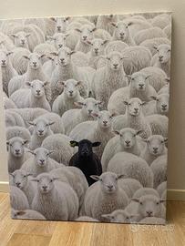 Quadro stampa “la pecora nera”