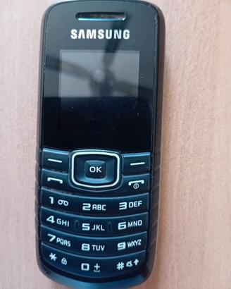 SAMSUNG GT-E1080I