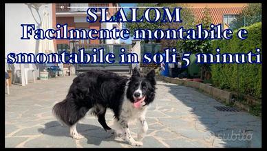 Slalom Agility Dog 12 paletti -REGOLAMENTARE FCI