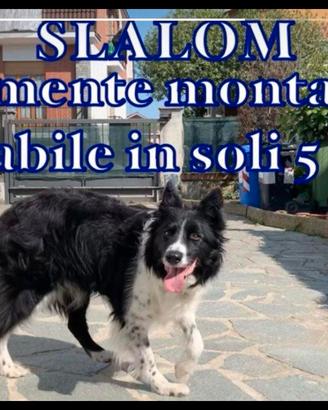 Slalom Agility Dog 12 paletti -REGOLAMENTARE FCI