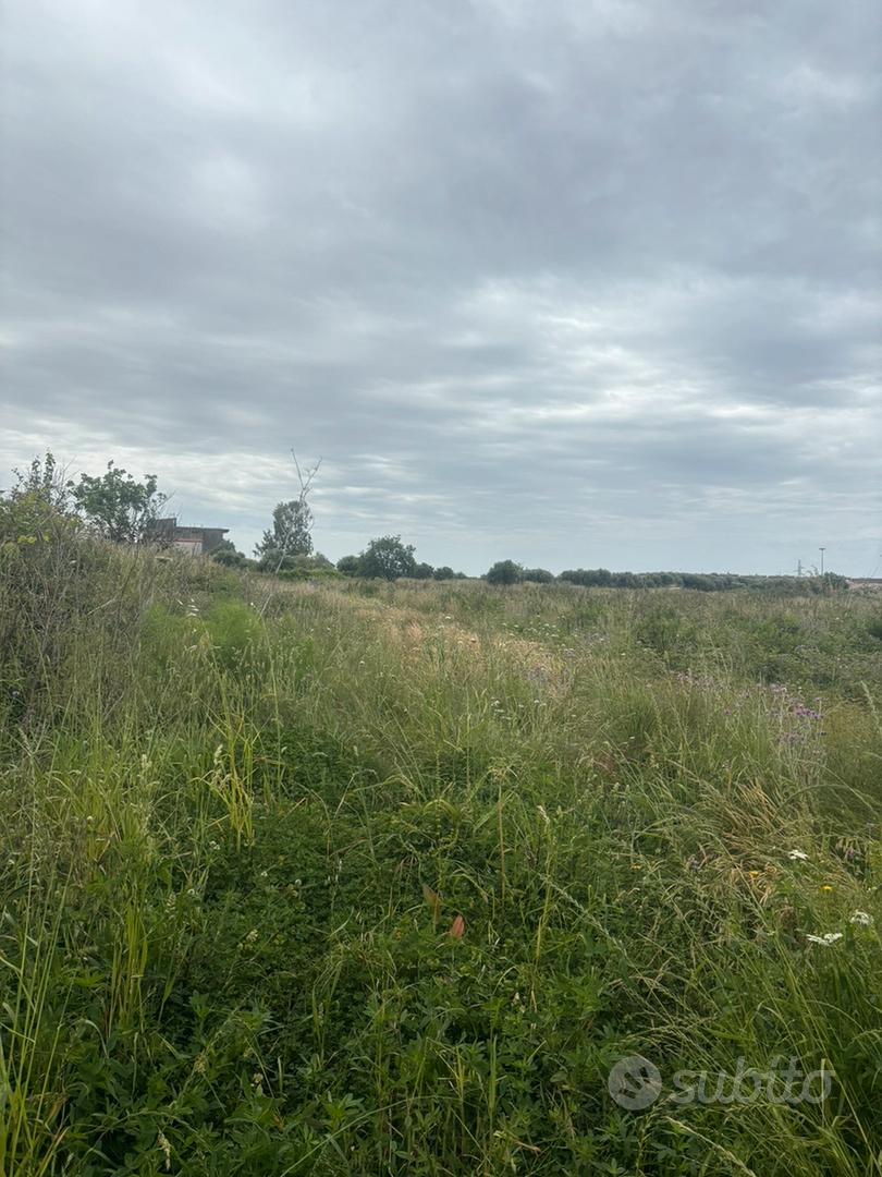 Terreno agricolo - Vista 2